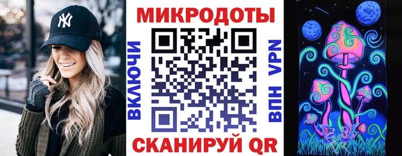закладка  Кулебаки  Псилоцибиновые грибы Psilocybe 